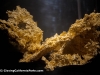 Fricot Gold Nugget, California State Mining and Mineral Museum