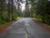 Empty Road, Castle Crags State Park