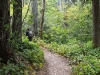 Ecological Staircase Trail
